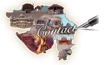 Contact Aavo Gujarat